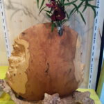 Au tour de la terre et du bois
