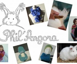 Phil’Angora Gilles ANTOINE